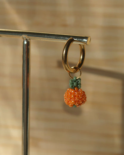 Örhängen med pumpor